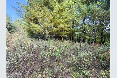 31258 E 325th Avenue, Lanesboro, MN 55971 - Photo 31