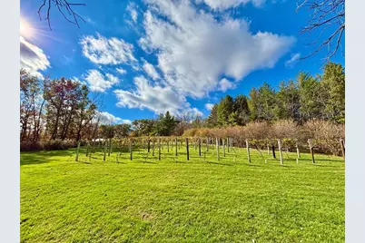 29651 County 5, Wykoff, MN 55990 - Photo 65