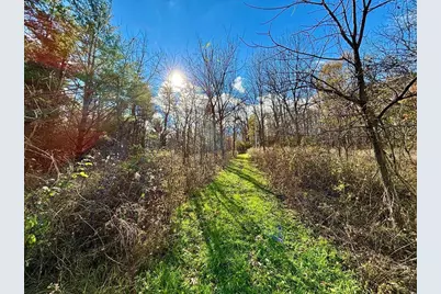 29651 County 5, Wykoff, MN 55990 - Photo 79