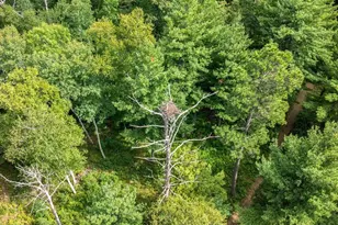 9800 Trails End Rd, Pequot Lakes, MN 56472 - Photo 7
