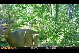 19196 State Hwy 18, Mcgrath, MN 56350 - Photo 29