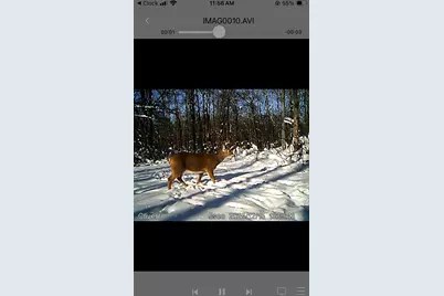 19196 State Highway 18, Mcgrath, MN 56350 - Photo 31