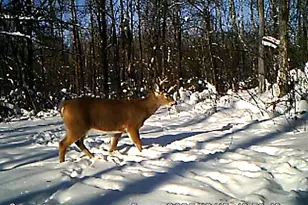 19196 State Hwy 18, Mcgrath, MN 56350 - Photo 31