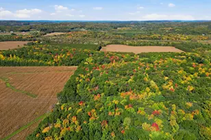 N6587 State Road 40, Elk Mound, WI 54739 - Photo 59