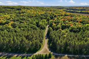 N6587 State Road 40, Elk Mound, WI 54739 - Photo 65