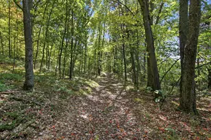 N6587 State Road 40, Elk Mound, WI 54739 - Photo 35