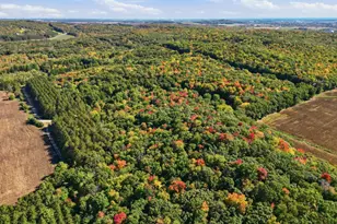 N6587 State Road 40, Elk Mound, WI 54739 - Photo 57