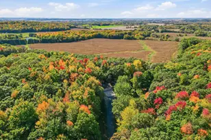 N6587 State Road 40, Elk Mound, WI 54739 - Photo 53