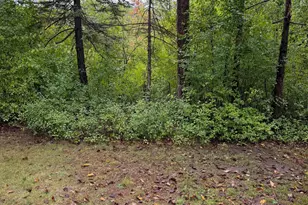8245 W Bush Lake Rd, Bloomington, MN 55438 - Photo 3