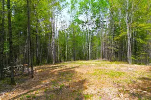 72Xx E Central Lakes Road Lot G, Eveleth, MN 55734 - Photo 1