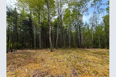 72Xx E Central Lakes Road Lot G, Eveleth, MN 55734 - Photo 9