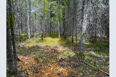 72Xx E Central Lakes Road Lot G, Eveleth, MN 55734 - Photo 11