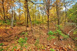 2870 218th St, Cushing, WI 54006 - Photo 43