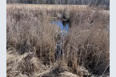 Tbd County Hwy #133, Meadowlands, MN 55765 - Photo 11