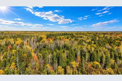 Tbd Hinkkanen Road, Floodwood, MN 55736 - Photo 15