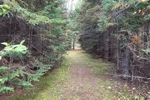 27366 County Road 69, Bovey, MN 55709 - Photo 53
