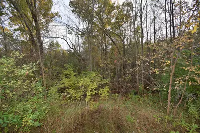 Lots 1-8 N Center Street, Danbury, WI 54830 - Photo 3