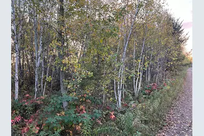 0000 Holly Rd, Pine City, MN 55063 - Photo 19