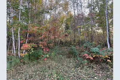 0000 Holly Rd, Pine City, MN 55063 - Photo 17