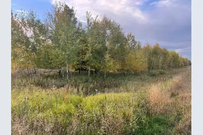 0000 Holly Rd, Pine City, MN 55063 - Photo 7