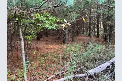 0000 Holly Rd, Pine City, MN 55063 - Photo 13