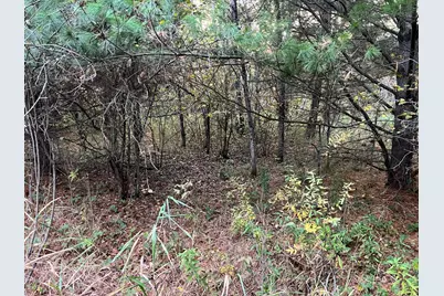 0000 Holly Rd, Pine City, MN 55063 - Photo 15
