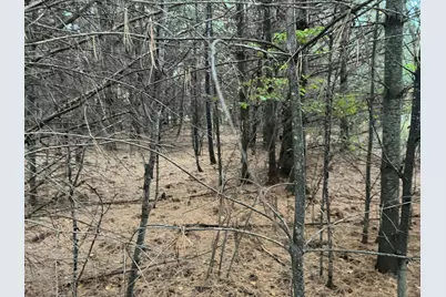 0000 Holly Rd, Pine City, MN 55063 - Photo 11