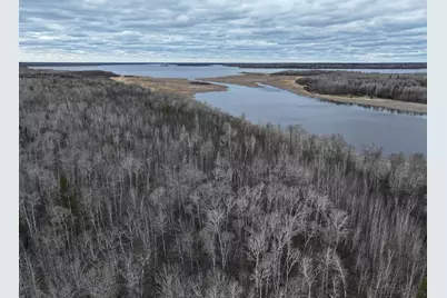 060 Youngs Bay Drive, Angle Inlet, MN 56711 - Photo 3