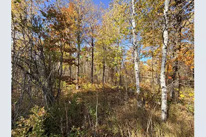 12168 250th Street, Milaca, MN 56353 - Photo 7