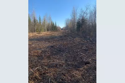 10498 County Road 30, Big Falls, MN 56627 - Photo 25