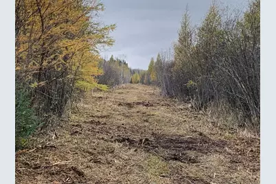 10498 County Road 30, Big Falls, MN 56627 - Photo 23