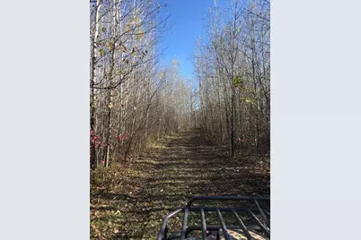 10498 County Road 30, Big Falls, MN 56627 - Photo 29