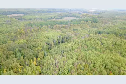 Tbd Industrial Avenue, Littlefork, MN 56668 - Photo 11