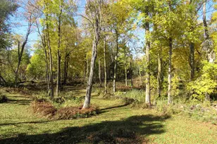 14281 Co Rd 116, Merrifield, MN 56465 - Photo 19