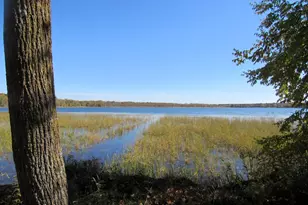 14281 Co Rd 116, Merrifield, MN 56465 - Photo 17