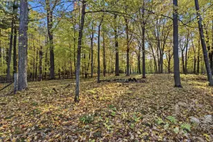 11688 Elm Cir, Pine City, MN 55063 - Photo 31