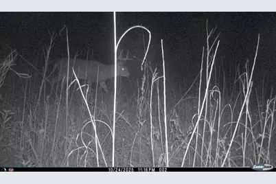 Xxx 230th, Minnesota Lake, MN 56068 - Photo 27
