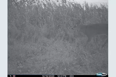 Xxx 230th, Minnesota Lake, MN 56068 - Photo 35