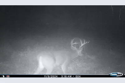 Xxx 230th, Minnesota Lake, MN 56068 - Photo 15