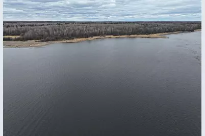 2521 Youngs Bay Drive NW, Angle Inlet, MN 56711 - Photo 11