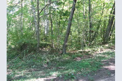 Tbd Alpine Drive, Breezy Point, MN 56472 - Photo 3