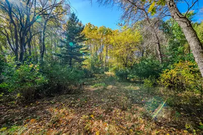 Tbd County Road 102, Grey Eagle, MN 56336 - Photo 23