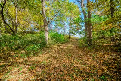 Tbd County Road 102, Grey Eagle, MN 56336 - Photo 3