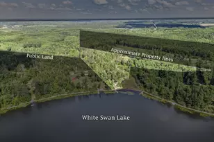 51150 N White Swan Lake Rd, Bigfork, MN 56628 - Photo 37