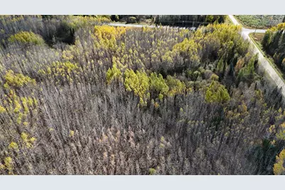 Tbd 28.9 Rangeline Road, Orr, MN 55771 - Photo 13