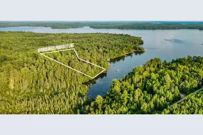7721 Yahoo Point Road, Orr, MN 55771 - Photo 1
