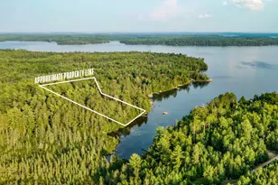 7721 Yahoo Point Rd, Orr, MN 55771 - Photo 1