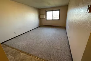 133 W 1st Ave, Hanley Falls, MN 56245 - Photo 3