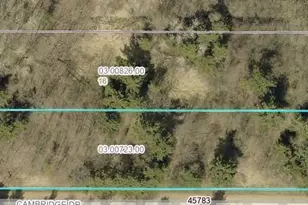 Tbd Cambridge Dr, Stanchfield, MN 55080 - Photo 1