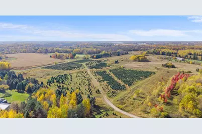 Tbd 377th Avenue NW, Dalbo, MN 55017 - Photo 21